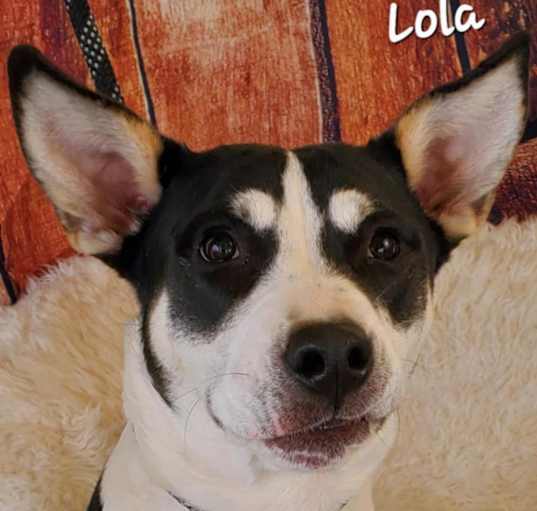 Photo of Lola JuM