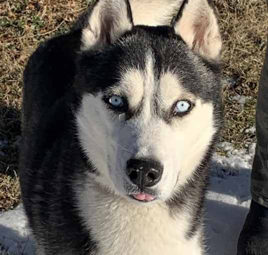 Photo of Keegan