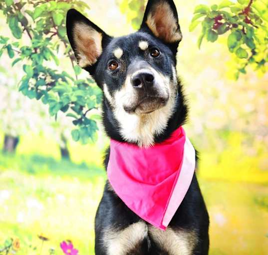 Photo of Luna JuM
