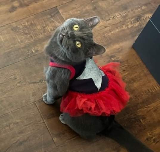 Photo of Agnes