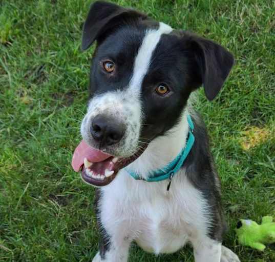 Photo of Finley