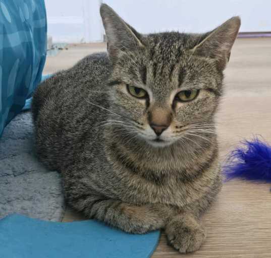 Photo of Molly