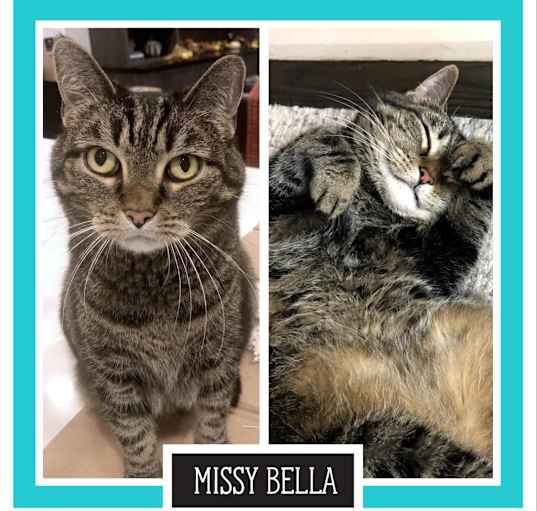 Photo of Missy Bella