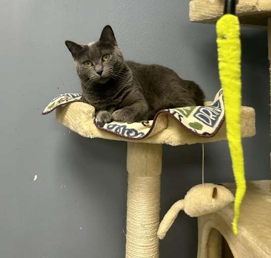 Photo of Wednesday
