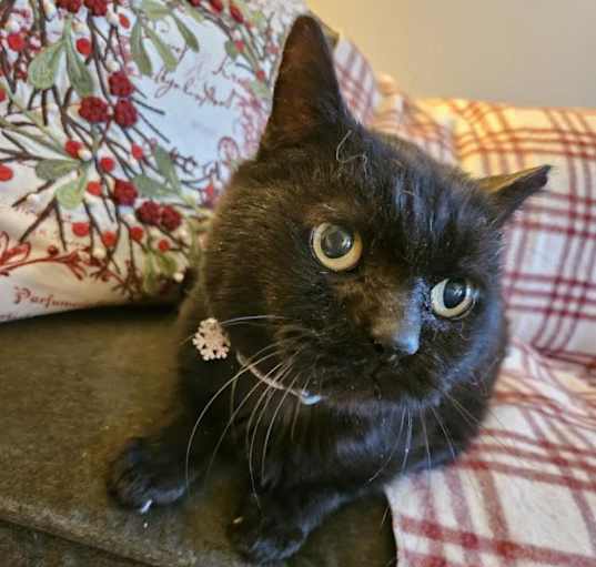 Photo of Penelope