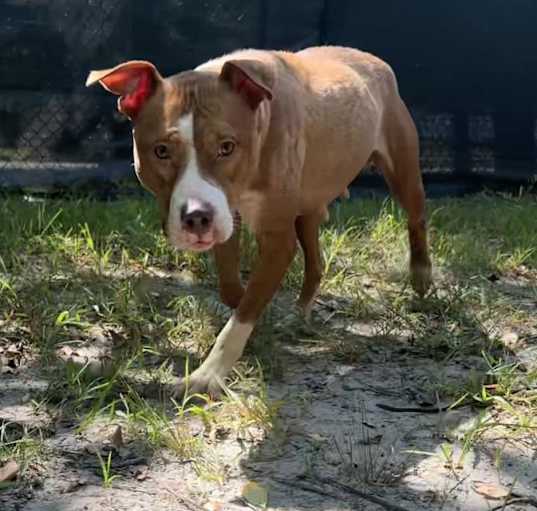 Photo of Reign