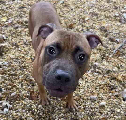 Photo of Hershey