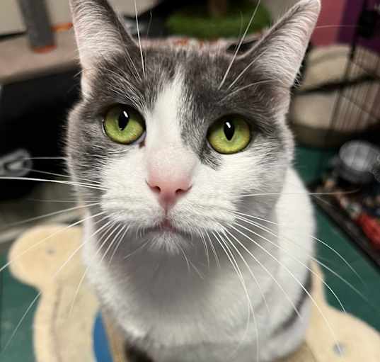 Photo of Eve
