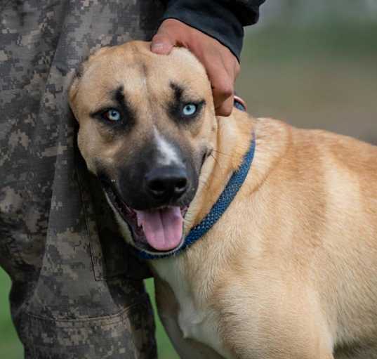 Photo of Azul JuM