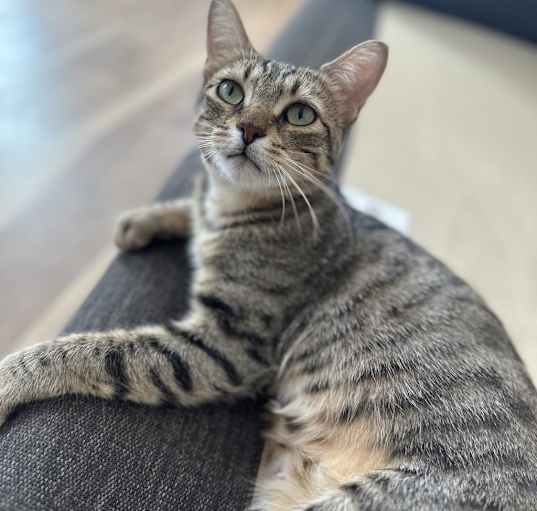 Photo of Bobbie
