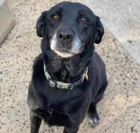Photo of Jet