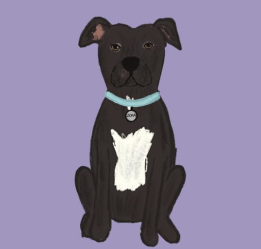 Photo of Zora