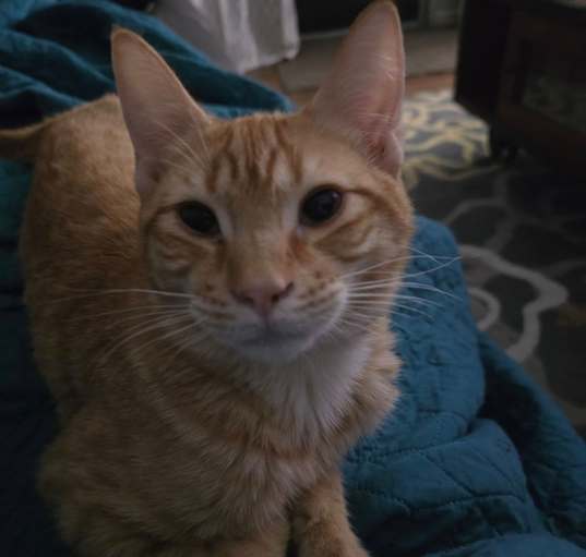 Photo of Dan