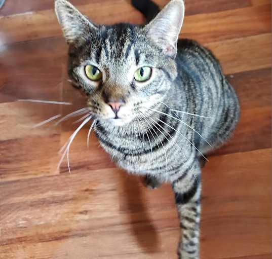 Photo of Sawyer