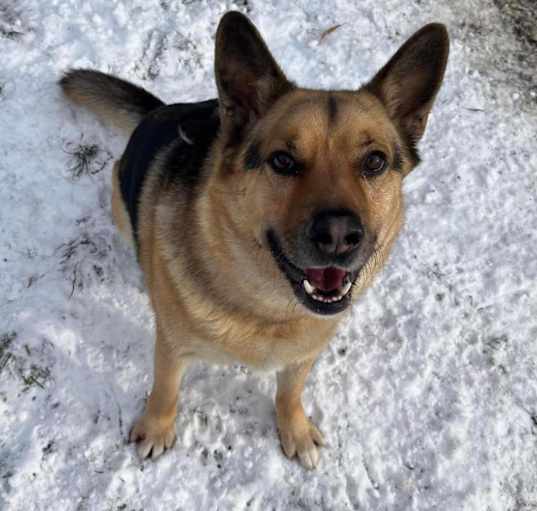 Photo of Thor