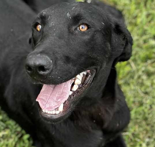 Photo of Xavier