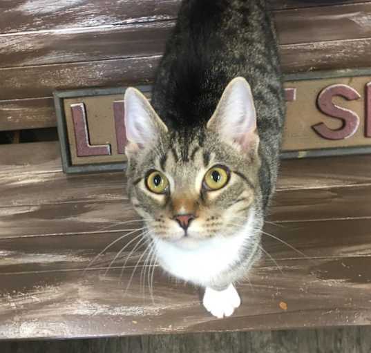 Photo of Kingston