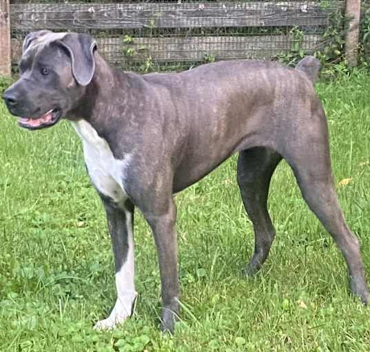 Photo of Big Luna