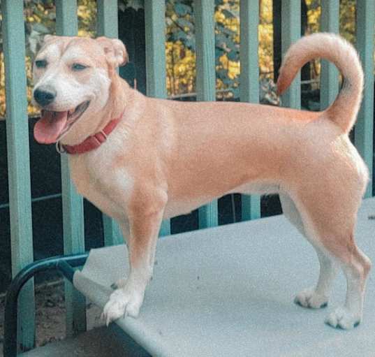 Photo of LUNA