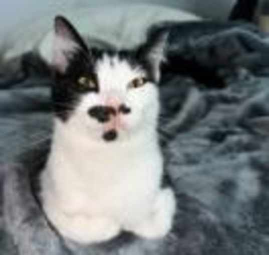 Photo of Astrid