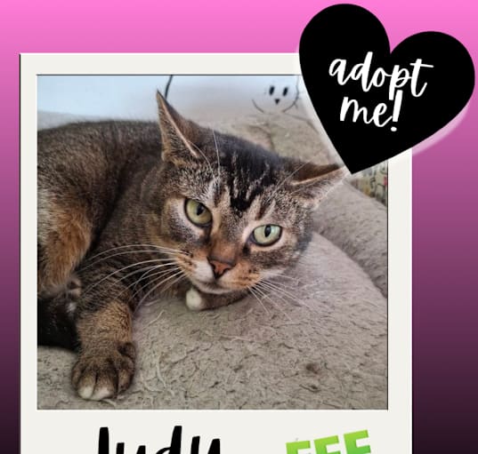 Photo of Judy