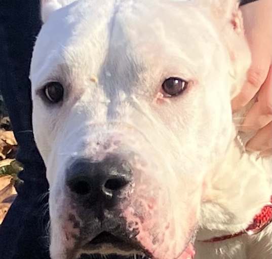 Photo of Spirit