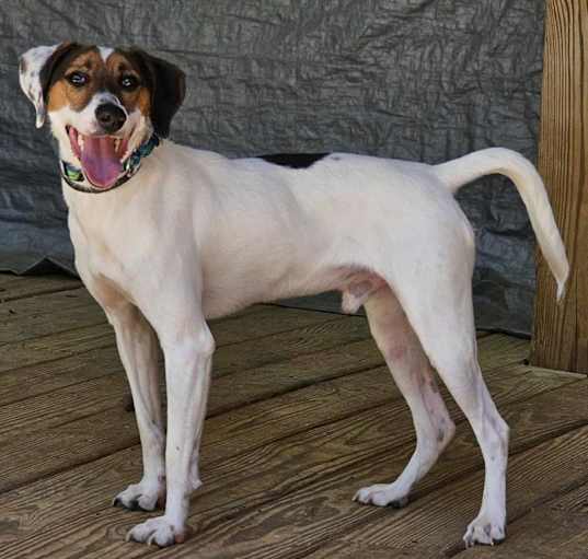 Photo of Clyde
