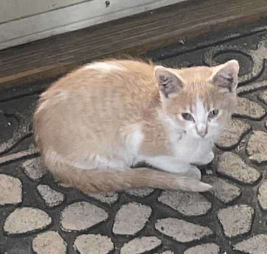 Photo of Nora