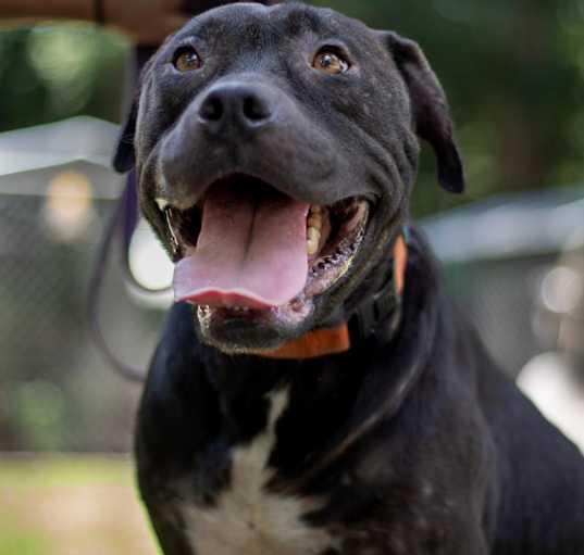 Photo of Zeus