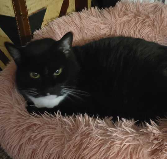Photo of Lila