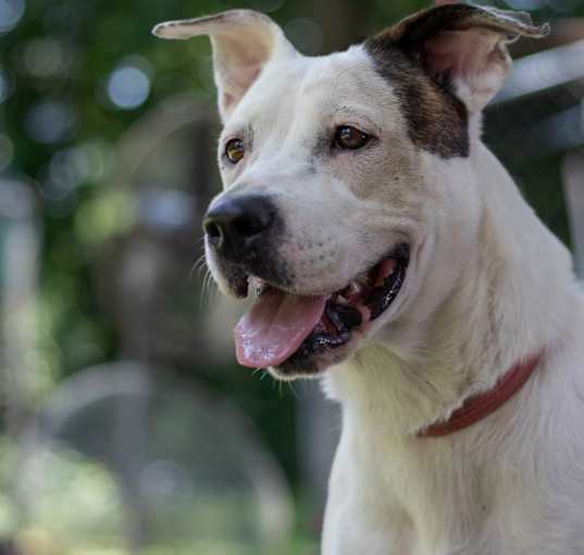 Photo of Emmy