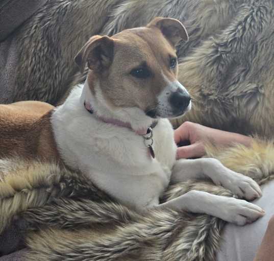 Photo of Soprano