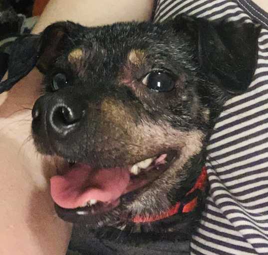 Photo of Skye