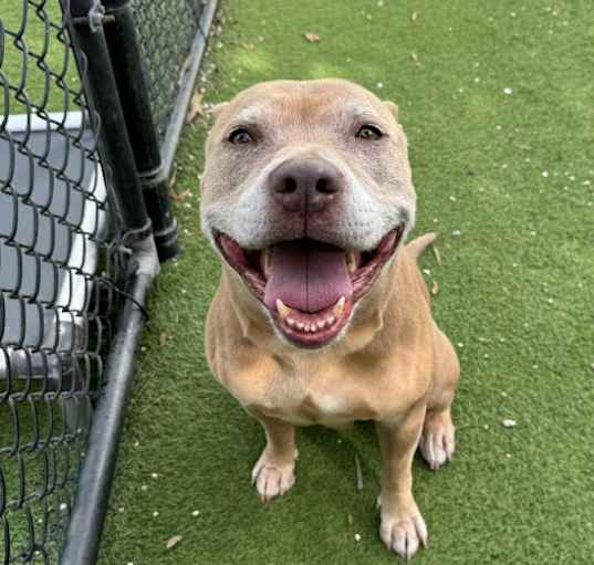Photo of Nyla