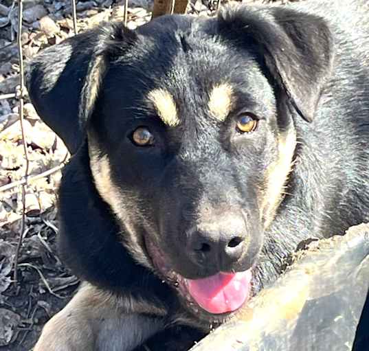 Photo of Carmelita