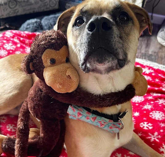 Photo of Lyle (Charlie)