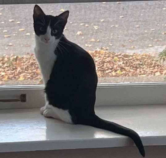 Photo of Cisco