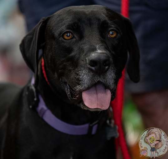 Photo of Brewster