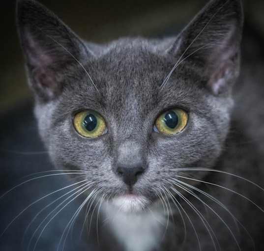 Photo of Little Tuck