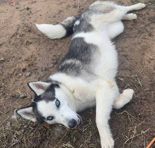 Photo of Luna May