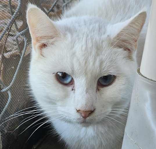 Photo of Tiny