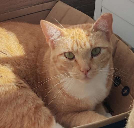 Photo of Hera