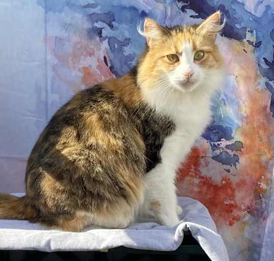 Photo of Pia