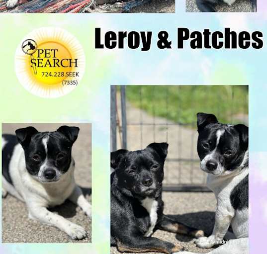 Photo of Leroy