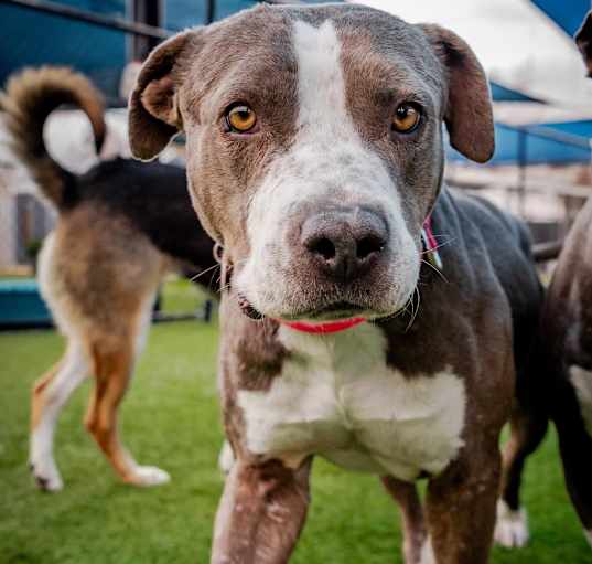 Photo of Hope A2070217