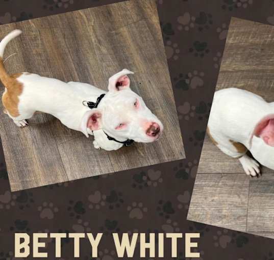 Photo of Betty White