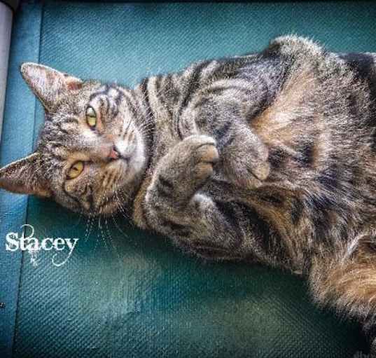 Photo of Stacey