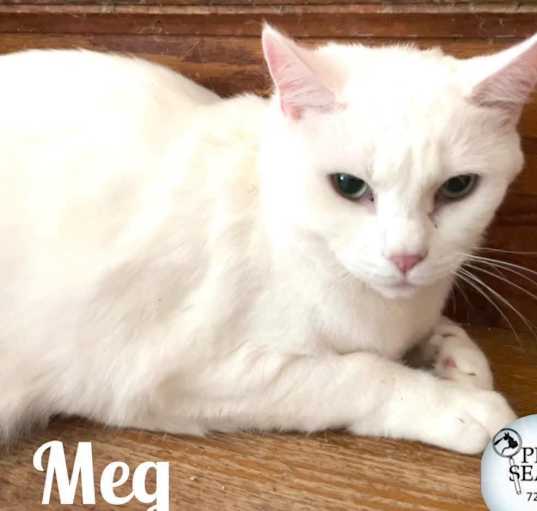 Photo of Meg