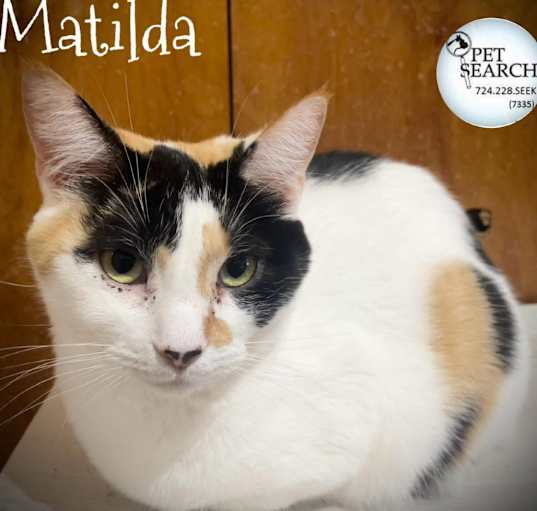 Photo of Matilda