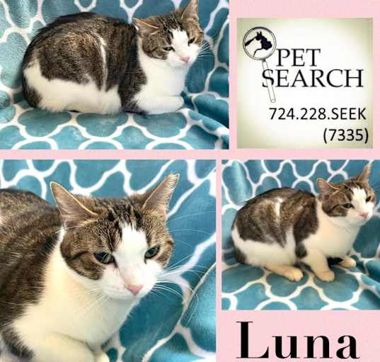 Photo of Luna
